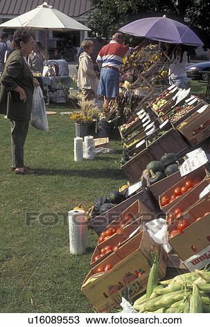Stock Image -  outdoor market, vegetables, produce, Vermont, VT, Produce displayed by vendors at the Farmers Market in Waterbury. . Fotosearch
