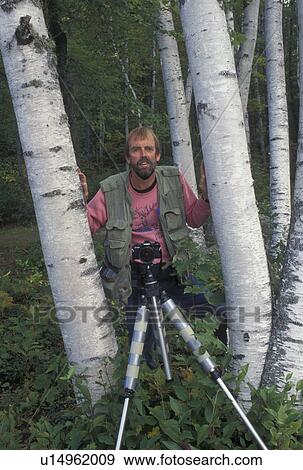 photographer, birch tree, fall, Groton State Forest, VT, Vermont, Photographer stands with his camera on a tripod in the middle of Birch trees in Groton State Forest in the autumn. View Large Photo Image Stock Photo - photographer, birch tree, fall, Groton State Forest, VT, Vermont, Photographer stands with his camera on a tripod in the middle of Birch trees in Groton State Forest in the autumn.. Fotosearch