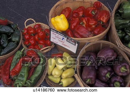 produce, vegetables, outdoor market, Vermont, VT, Peppers displayed in baskets for sale at the Saturday Farmers Market in Montpelier. View Large Photo Image Stock Image - produce, vegetables, outdoor market, Vermont, VT, Peppers displayed in baskets for sale at the Saturday Farmers Market in Montpelier. . Fotosearch