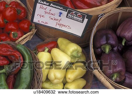 Stock Image -  produce, vegetables, outdoor market, Vermont, VT, Peppers displayed in baskets for sale at the Saturday Farmers Market in Montpelier. . Fotosearch