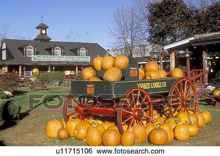 pumpkins, South Deerfield, MA, Massachusetts, The Connecticut River Valley, Fall display of orange pumpkins in a green wagon outside Yankee Candlemaking Museum at the Yankee Candle Company in South Deerfield in the autumn. View Large Photo Image Stock Photograph - pumpkins, South Deerfield, MA, Massachusetts, The Connecticut River Valley, Fall display of orange pumpkins in a green wagon outside Yankee Candlemaking Museum at the Yankee Candle Company in South Deerfield in the autumn.. Fotosearch