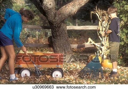raking, leaves, autumn, children, red wagon, Vermont, A girl and a boy rake leaves together with a red wagon next to a fence on a sunny fall day in Montpelier in Washington County in the state of Vermont. View Large Photo Image Stock Image - raking, leaves, autumn, children, red wagon, Vermont, A girl and a boy rake leaves together with a red wagon next to a fence on a sunny fall day in Montpelier in Washington County in the state of Vermont.. Fotosearch