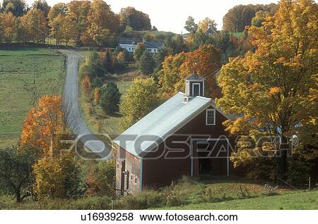 Stock Photo -  red barn, fall, East Montpelier, VT, Vermont, colorful foliage, country road, autumn.. Fotosearch