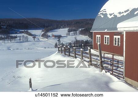 red barn, Vermont, VT, Snow-covered red barn with white trim at Diamond Heart Farm in East Albany in the winter. View Large Photo Image Stock Image - red barn, Vermont, VT, Snow-covered red barn with white trim at Diamond Heart Farm in East Albany in the winter.. Fotosearch