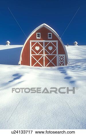 red barn, Vermont, VT, Snow-covered red barn with white trim at Diamond Heart Farm in East Albany in the winter. View Large Photo Image Stock Photo - red barn, Vermont, VT, Snow-covered red barn with white trim at Diamond Heart Farm in East Albany in the winter.. Fotosearch