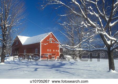 Stock Photo -  red barn, winter scene, snow, Vermont, Scenic view of a red barn in the snow under a clear blue sky in winter in Underhill in Chittenden County in the state of Vermont. . Fotosearch