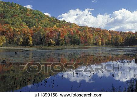 reflection, lake, fall, Marshfield, VT, Vermont, Colorful fall foliage of the forest reflects in the calm waters of a pond in Marshfield in the autumn. View Large Photo Image Stock Photo - reflection, lake, fall, Marshfield, VT, Vermont, Colorful fall foliage of the forest reflects in the calm waters of a pond in Marshfield in the autumn.. Fotosearch
