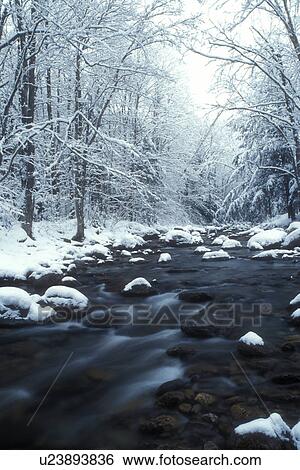 river, Green Mountain National Forest, winter scene, wintry, snow, Texas Brook flows along snow covered rocks on its way downstream on a wintry day in Hancock in Addison County in the state of Vermont. View Large Photo Image Stock Photograph - river, Green Mountain National Forest, winter scene, wintry, snow, Texas Brook flows along snow covered rocks on its way downstream on a wintry day in Hancock in Addison County in the state of Vermont. . Fotosearch