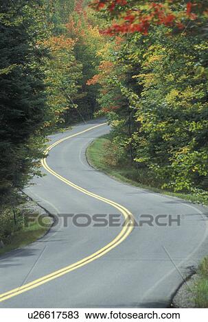 Stock Image -  road, fall, Groton State Forest, VT, Vermont, Scenic Route 232 winds through Groton State Forest in the fall.. Fotosearch