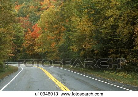 road, fall, Roxbury, VT, Vermont, Route 12A surrounded by colorful foliage in autumn in Roxbury. View Large Photo Image Stock Image - road, fall, Roxbury, VT, Vermont, Route 12A surrounded by colorful foliage in autumn in Roxbury.. Fotosearch