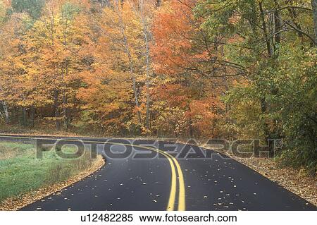 Stock Photography -  road, fall, Tinmouth, VT, Vermont, Route 140 surrounded by colorful foliage winds through Tinmouth in autumn.. Fotosearch