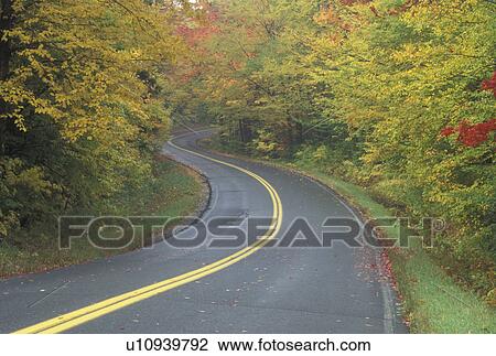 road, fall, VT, Vermont, Scenic Route 232 winds through Groton State Forest in the fall. View Large Photo Image Stock Image - road, fall, VT, Vermont, Scenic Route 232 winds through Groton State Forest in the fall.. Fotosearch