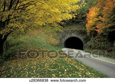 Stock Photo -  road, North Carolina, NC, Tunnel on the scenic Blue Ridge Parkway in the fall.. Fotosearch