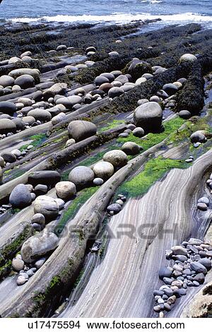 Picture -  rocks, Maine, ME, Pemaquid Point, Round rocks on Pemaquid Point along the Atlantic Ocean.. Fotosearch