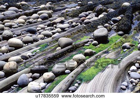 Stock Photo -  rocks, Maine, Pemaquid Point, ME, Round rocks on Pemaquid Point along the Atlantic Ocean.. Fotosearch