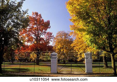 Picture -  Saratoga Springs, race track, horse racing, New York, NY, Colorful fall foliage at the Historic Saratoga Race Course in Saratoga Springs.. Fotosearch