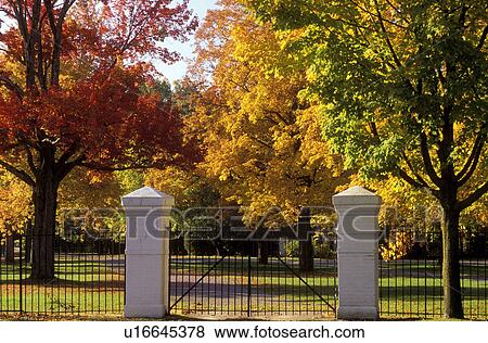Saratoga Springs, race track, horse racing, New York, NY, Colorful fall foliage at the Historic Saratoga Race Course in Saratoga Springs. View Large Photo Image Stock Photo - Saratoga Springs, race track, horse racing, New York, NY, Colorful fall foliage at the Historic Saratoga Race Course in Saratoga Springs.. Fotosearch