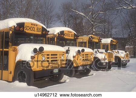 Stock Image -  school bus, winter, New England, School buses parked in a parking lot in the snow in winter.. Fotosearch