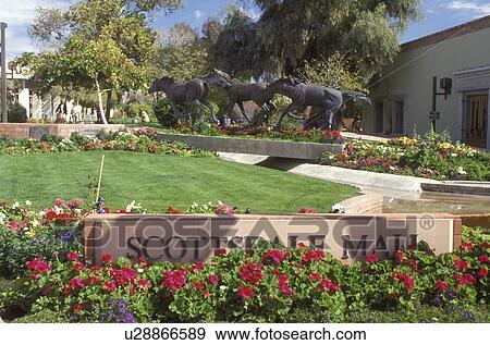 Scottsdale, Arizona, AZ, Horse sculpture at Scottsdale Civic Center and Mall in downtown Scottsdale. View Large Photo Image Stock Photo - Scottsdale, Arizona, AZ, Horse sculpture at Scottsdale Civic Center and Mall in downtown Scottsdale.. Fotosearch