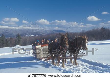 Stock Photograph -  sleigh ride, Stowe, Vermont, VT, A team of horses pulls a open sleigh full of people through the snow covered field at Trapp Family Lodge in Stowe.. Fotosearch