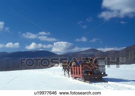 sleigh ride, Stowe, Vermont, VT, A team of horses pulls a red open sleigh through the snow covered field at Trapp Family Lodge in Stowe. View Large Photo Image Stock Photograph - sleigh ride, Stowe, Vermont, VT, A team of horses pulls a red open sleigh through the snow covered field at Trapp Family Lodge in Stowe.. Fotosearch