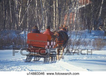 sleigh ride, Stowe, Vermont, VT, One horse open sleigh ride at Charlie Horse Sleigh Rides in Stowe in winter. View Large Photo Image Stock Photograph - sleigh ride, Stowe, Vermont, VT, One horse open sleigh ride at Charlie Horse Sleigh Rides in Stowe in winter. . Fotosearch
