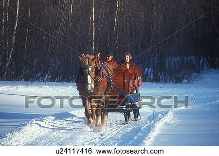 sleigh ride, Vermont, Stowe, VT, One horse open sleigh ride at Charlie Horse Sleigh Rides in Stowe in winter. View Large Photo Image Stock Photograph - sleigh ride, Vermont, Stowe, VT, One horse open sleigh ride at Charlie Horse Sleigh Rides in Stowe in winter. . Fotosearch