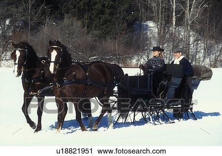 Stock Image -  sleigh ride, Vermont, VT, Couple with horse team open sleigh ride competing at the Sleigh Rally at Mad River Valley Winter Carnival at Lareau Farm in Waitsfield. . Fotosearch