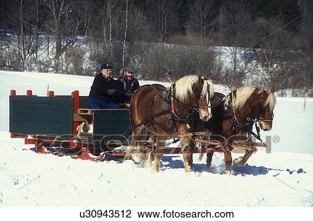 sleigh ride, Vermont, VT, Team of horses pull a sleigh at Mad River Valley Winter Carnival at Lareau Farm in Waitsfield. View Large Photo Image Stock Image - sleigh ride, Vermont, VT, Team of horses pull a sleigh at Mad River Valley Winter Carnival at Lareau Farm in Waitsfield. . Fotosearch