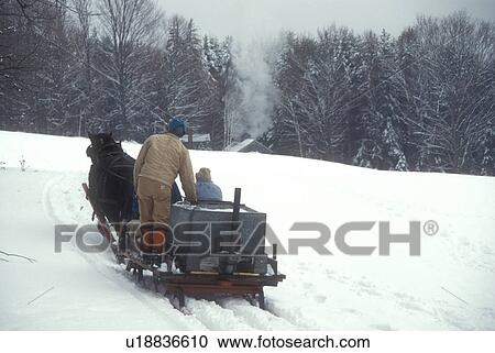 sleigh, sugarhouse, maple syrup, winter, Cabot, VT, Vermont, People ride on sleigh pulled by a horse at Carpenter Farm to the sugar shack steaming in the background at sugaring time in early spring in Cabot. View Large Photo Image Stock Image - sleigh, sugarhouse, maple syrup, winter, Cabot, VT, Vermont, People ride on sleigh pulled by a horse at Carpenter Farm to the sugar shack steaming in the background at sugaring time in early spring in Cabot.. Fotosearch