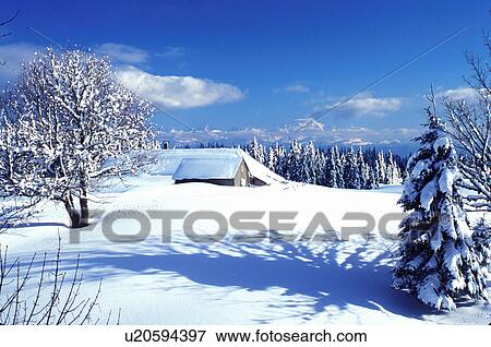 Stock Photo -  snow, winter, Switzerland, Vaud, Jura Mountains, Europe, Scenic view of a snow covered farm and the Alps in the background in winter in the Jura Mountains.. Fotosearch