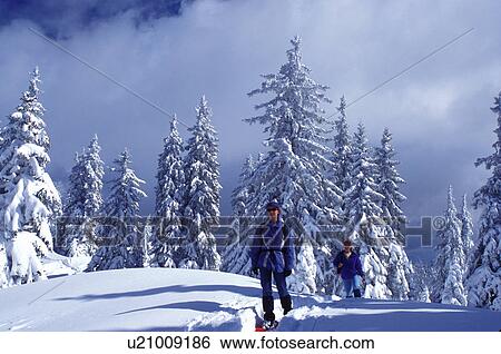 snowshoeing, trail, mountains, Switzerland, Vaud, Jura Mountains, Europe, A mother and daughter snowshoe on a trail which runs through a snow covered forest of evergreens in the winter in the Jura Mountains. View Large Photo Image Stock Photograph - snowshoeing, trail, mountains, Switzerland, Vaud, Jura Mountains, Europe, A mother and daughter snowshoe on a trail which runs through a snow covered forest of evergreens in the winter in the Jura Mountains.. Fotosearch