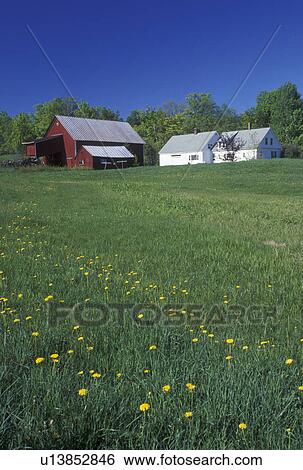 spring, South Peacham, VT, Vermont, Red barn and white farmhouse in the spring in South Peacham. View Large Photo Image Stock Photograph - spring, South Peacham, VT, Vermont, Red barn and white farmhouse in the spring in South Peacham.. Fotosearch