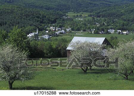 Stock Photo -  spring, Worcester, VT, Vermont, Scenic view of the village of Worcester from an apple orchard in the spring.. Fotosearch