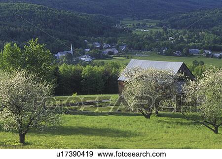 Stock Photo -  spring, Worcester, VT, Vermont, Scenic view of the village of Worcester from an apple orchard in the spring.. Fotosearch