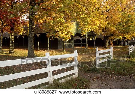 stables, race track, Saratoga Springs, New York, NY, The horse stables at the Historic Saratoga Race Course in Saratoga Springs surrounded by colorful fall foliage. View Large Photo Image Stock Photo - stables, race track, Saratoga Springs, New York, NY, The horse stables at the Historic Saratoga Race Course in Saratoga Springs surrounded by colorful fall foliage.. Fotosearch
