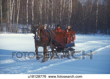 Stock Photograph -  Stowe, open sleigh ride, Vermont, VT, One horse sleigh ride at Charlie Horse Sleigh Rides in Stowe in winter. . Fotosearch