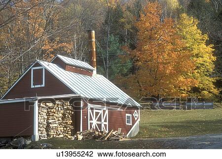 sugar shack, Reading, VT, Vermont, A red sugarhouse stacked with wood is surrounded by colorful maple trees in Reading in autumn. View Large Photo Image Stock Image - sugar shack, Reading, VT, Vermont, A red sugarhouse stacked with wood is surrounded by colorful maple trees in Reading in autumn.. Fotosearch