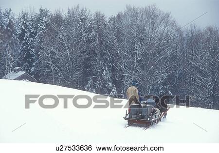 sugarhouse, maple syrup, winter, Cabot, VT, Vermont, People ride on sleigh pulled by a horse at Carpenter Farm to the sugar shack at sugaring time in early spring in Cabot. View Large Photo Image Stock Photograph - sugarhouse, maple syrup, winter, Cabot, VT, Vermont, People ride on sleigh pulled by a horse at Carpenter Farm to the sugar shack at sugaring time in early spring in Cabot.. Fotosearch