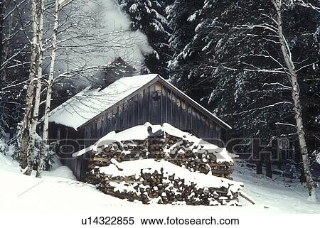 Stock Photography -  sugarhouse, maple syrup, winter, Cabot, VT, Vermont, Sugar shack steaming on Carpenter Farm at sugaring time in early spring in Cabot. . Fotosearch