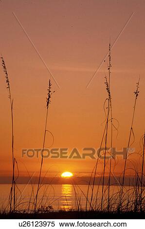 Stock Photography -  sunrise, Cumberland Island, Georgia, GA, Sunrise over the Atlantic Ocean from Cumberland Island National Seashore.. Fotosearch