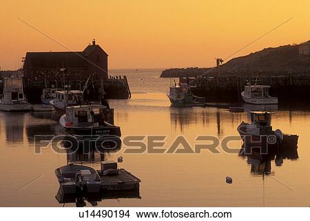 Picture -  sunrise, lobster boats, Rockport, MA, Massachusetts, Fishing boats docked in Rockport Harbor at sunrise in Rockport in the fall.. Fotosearch