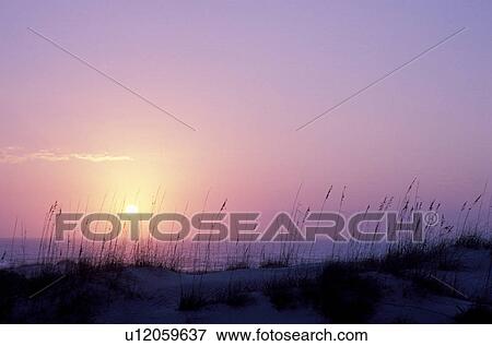 sunrise sunset, Cumberland Island, Georgia, GA, Sunrise over the Atlantic Ocean from Sea Camp on Cumberland Island National Seashore. View Large Photo Image Stock Photo - sunrise sunset, Cumberland Island, Georgia, GA, Sunrise over the Atlantic Ocean from Sea Camp on Cumberland Island National Seashore.. Fotosearch