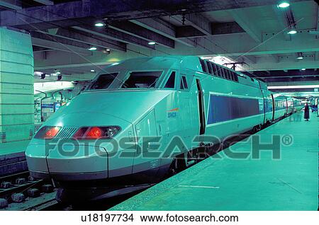 Picture -  TGV, train, Paris, France, Europe, TGV high-speed train parked next to the platform at the Gare Montparnasse train station.. Fotosearch