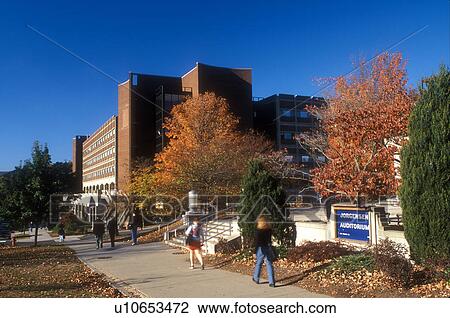 Stock Image -  university, campus, UConn, Storrs, Connecticut, CT, Students walking on the campus of the University of Connecticut in Storrs in the autumn.. Fotosearch
