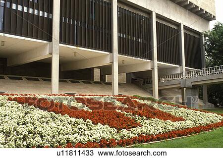 Stock Image -  university, Wisconsin, Madison, WI, Flowers at the University of Wisconsin in Madison.. Fotosearch