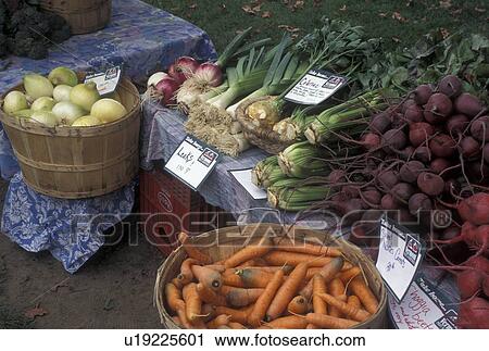 vegetables, outdoor market, produce, Vermont, VT, Carrots, beets, celery and onions for sale at the Farmers Market in Waterbury. View Large Photo Image Stock Image - vegetables, outdoor market, produce, Vermont, VT, Carrots, beets, celery and onions for sale at the Farmers Market in Waterbury. . Fotosearch