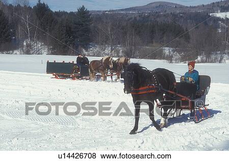 Stock Photo -  Vermont, open sleigh ride, VT, Horses pull sleighs at the Sleigh Rally at Mad River Valley Winter Carnival at Lareau Farm in Waitsfield. . Fotosearch