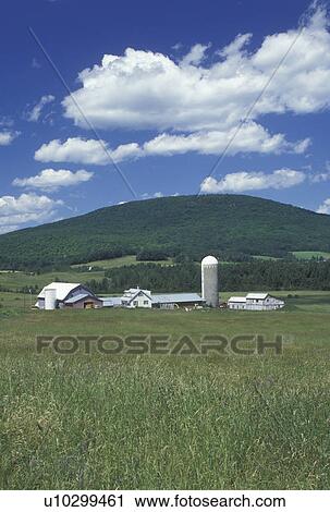 Vermont, VT, barn, farm, scenic countryside in Barton under a blue sky with white puffy clouds View Large Photo Image Stock Image - Vermont, VT, barn, farm, scenic countryside in Barton under a blue sky with white puffy clouds. Fotosearch