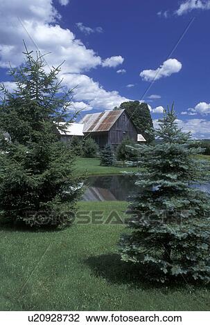 Vermont, VT, Barn reflecting in pond in Calais in the summer View Large Photo Image Stock Image - Vermont, VT, Barn reflecting in pond in Calais in the summer . Fotosearch